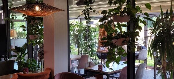 Wnętrze restauracji ozdobione roślinnością.