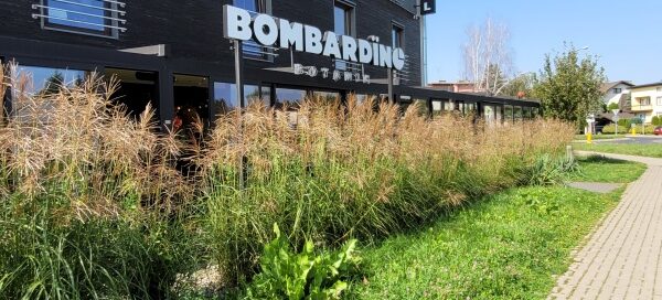 Ozdobne trawy oddzielające budynek restauracji od chodnika.
