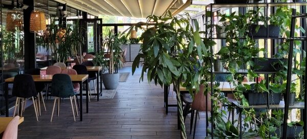 Wnętrze restauracji ozdobione roślinnością.