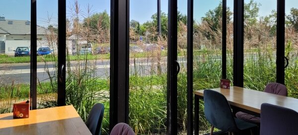 Widok z wnętrza restauracji, przez przeszkloną ścianę, na roślinność, na zewnątrz budynku.