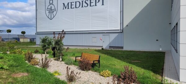 Teren przed firmą. Trawnik z alejką i ławką.