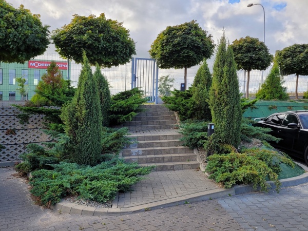 Nasadzenia drzew na terenie firmy.