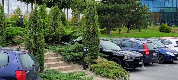 Miejsca parkingowe otoczone roślinnością.