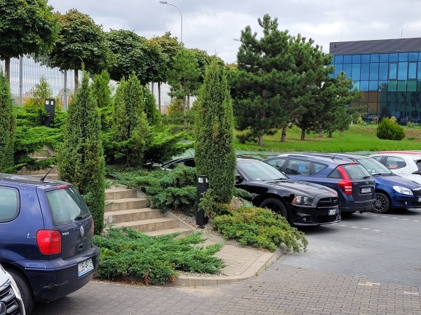 Miejsca parkingowe otoczone roślinnością.