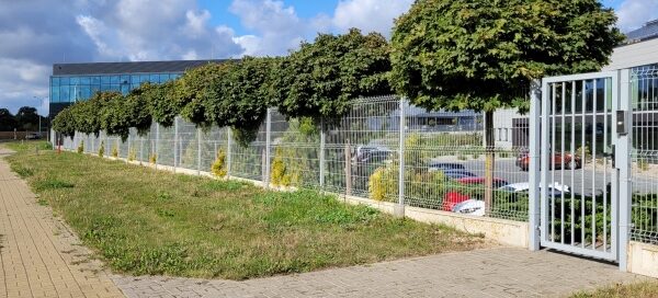 Teren firmy oddzielony trawnikiem i drzewami.
