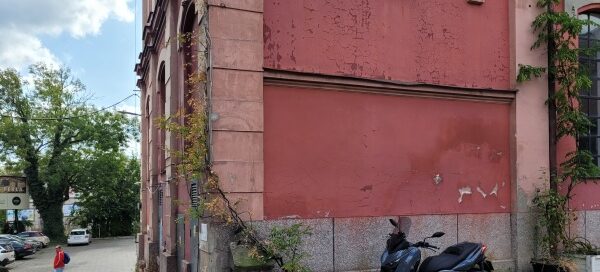 Pnącza w donicach ustawione obok budynku.