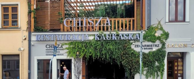 Pnącza we wnętrzu jednej z restauracji.