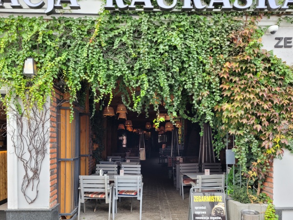 Ozdobne pnącza przy wejściu do restauracji.