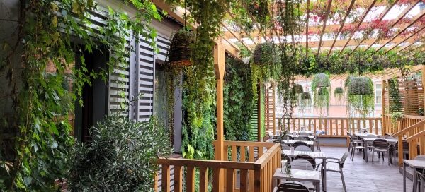 Wnętrze restauracji ozdobionej pnączami.