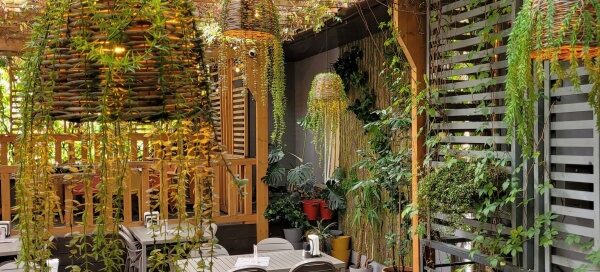 Wnętrze restauracji ozdobionej pnączami.