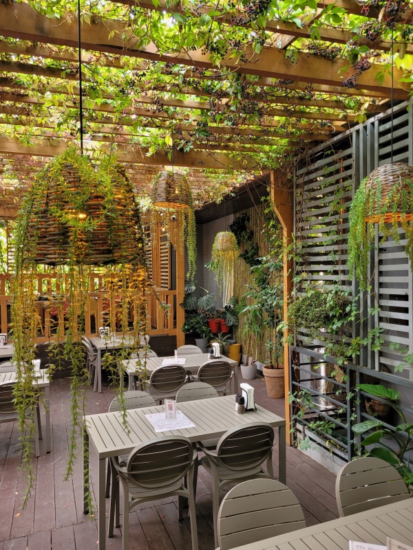 Wnętrze restauracji ozdobionej pnączami.