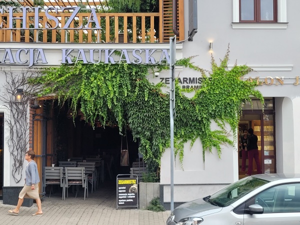Pnącza we wnętrzu jednej z restauracji.