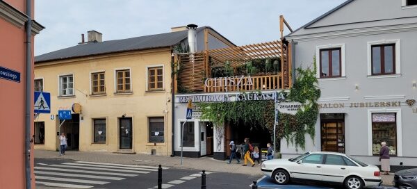 Pnącza we wnętrzu jednej z restauracji.
