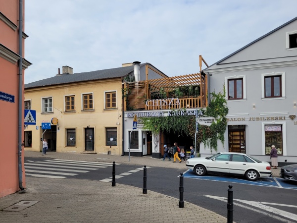 Pnącza we wnętrzu jednej z restauracji.