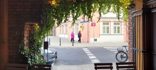 Wnętrze restauracji ozdobionej pnączami.