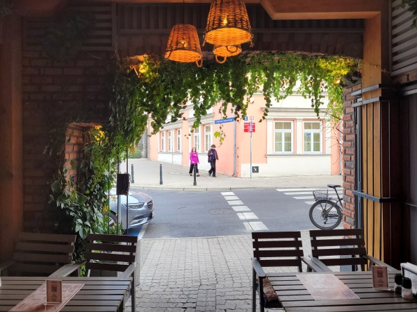 Wnętrze restauracji ozdobionej pnączami.
