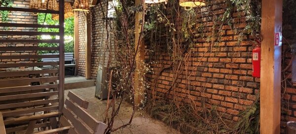 Wnętrze restauracji ozdobionej pnączami.