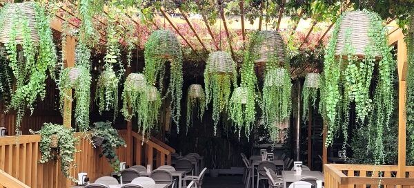 Wnętrze restauracji ozdobionej pnączami.