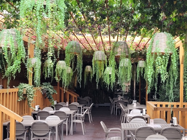 Wnętrze restauracji ozdobionej pnączami.