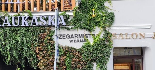 Pnącza na budynku restauracji.