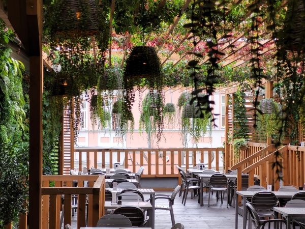 Wnętrze restauracji ozdobionej pnączami.
