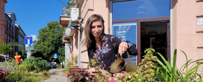 Roślinność ustawiona przed kawiarnią, mieszczącą się przy skrzyżowaniu ulic w centrum miasta.