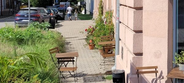 Roślinność przed kawiarnią, mieszczącą się przy skrzyżowaniu ulic w centrum miasta.