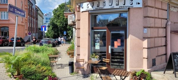 Roślinność przed kawiarnią, mieszczącą się przy skrzyżowaniu ulic w centrum miasta.