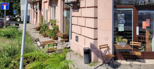 Roślinność przed kawiarnią, mieszczącą się przy skrzyżowaniu ulic w centrum miasta.