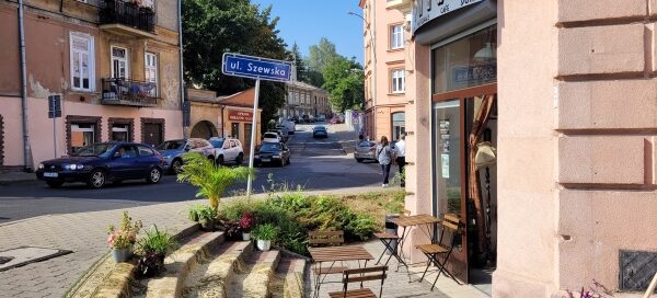 Roślinność przed kawiarnią, mieszczącą się przy skrzyżowaniu ulic w centrum miasta.