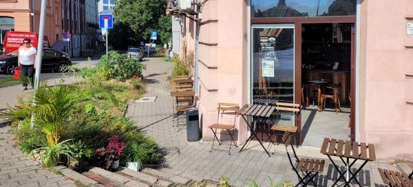 Roślinność przed kawiarnią, mieszczącą się przy skrzyżowaniu ulic w centrum miasta.