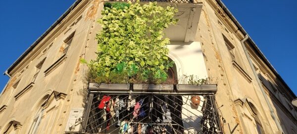 Balkon ozdobiony sztucznymi pnączami, usytuowany na rogu kamienicy.
