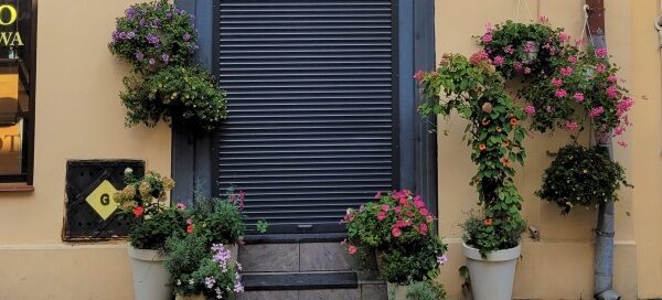 Różnokolorowe kwiaty w donicach ustawione przed lokalem usługowym w centrum miasta.
