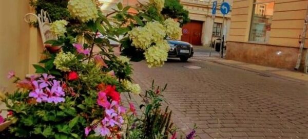 Różnokolorowe kwiaty w donicach ustawione przed lokalem usługowym w centrum miasta.
