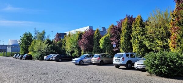 Nasadzenia roślinne przy parkingu.
