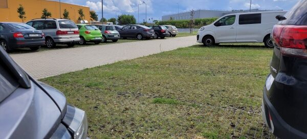 Trawnik na miejscach parkingowych.