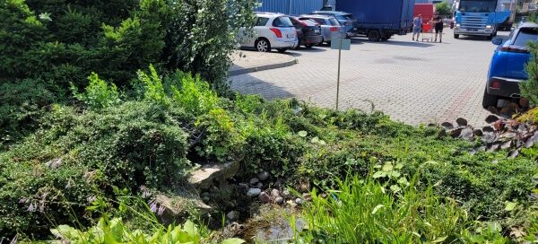 Różnorodna roślinność ogrodu, znajdującego się przed wejściem do firmy.