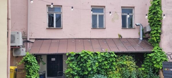 Ściana z pnączy w podwórku. Różnorodność i obfitość rosnących tam roślin powoduje, że miejsce to wygląda jak fragment dżungli w miejskim zaułku.