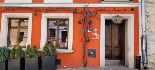Metalowa rzeźba pnączy, przed wejściem do kamienicy na Starym Mieście.
