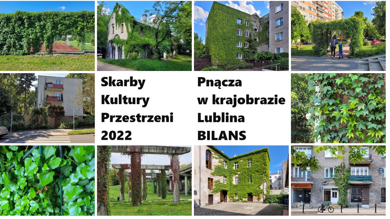 Kolaż ze zdjęć podsumowujący Skarby 2022