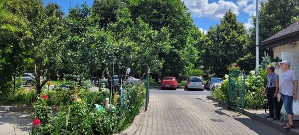 Kwiaty zasadzone przy wjeździe na parking. W tle widoczne duże, rozłożyste drzewa.