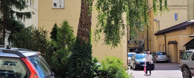 Wyspa z drzewem i roślinnością na jednym z podwórek.