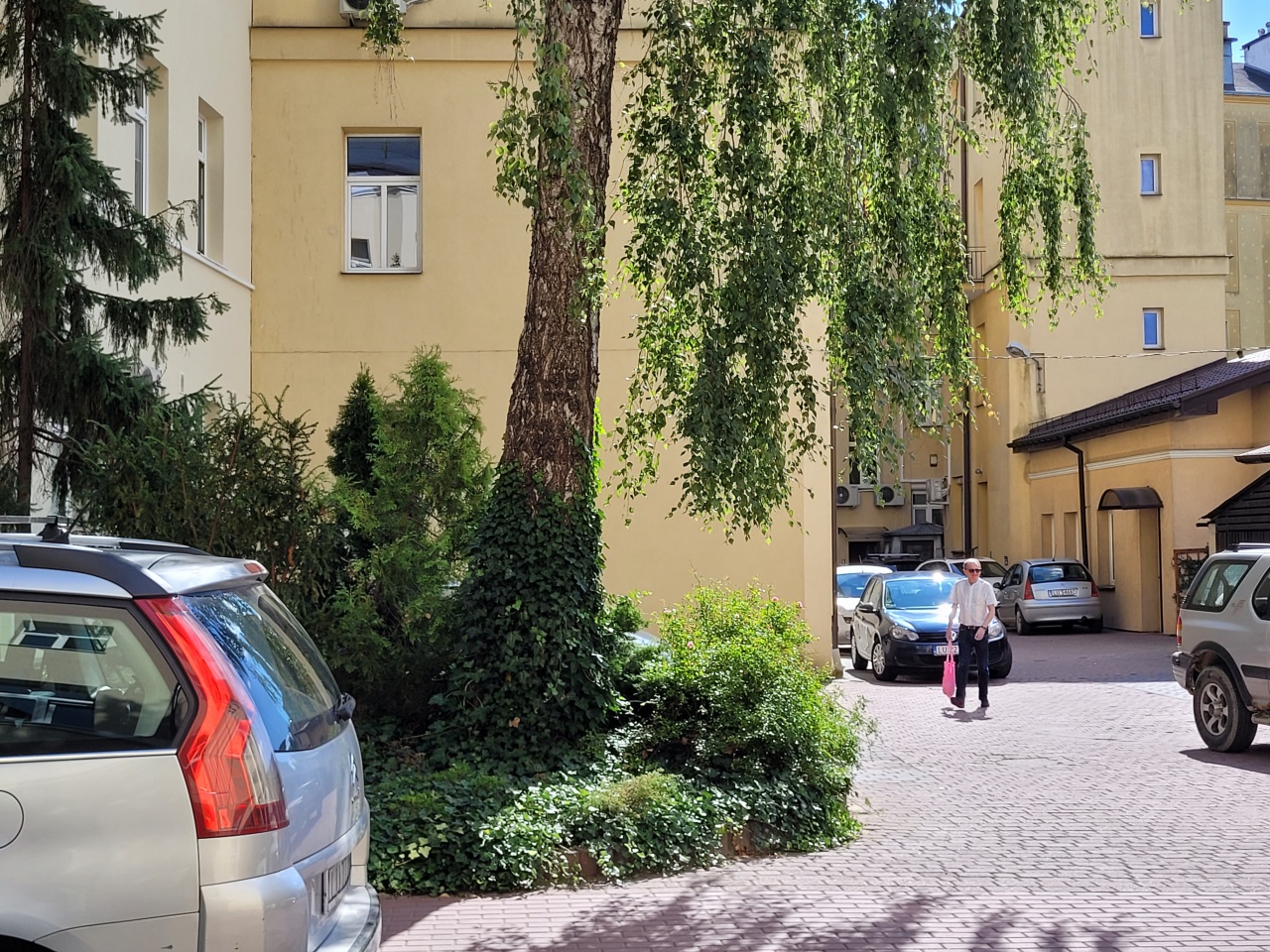 Wyspa z drzewem i roślinnością na jednym z podwórek.