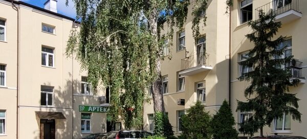 Wyspa z drzewem i roślinnością na jednym z podwórek.