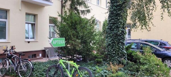 Wyspa z drzewem i roślinnością na jednym z podwórek.