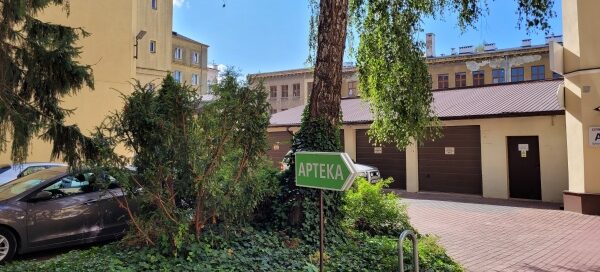 Wyspa z drzewem i roślinnością na jednym z podwórek.