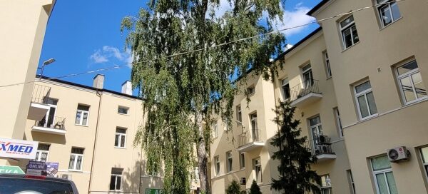 Wyspa z drzewem i roślinnością na jednym z podwórek.