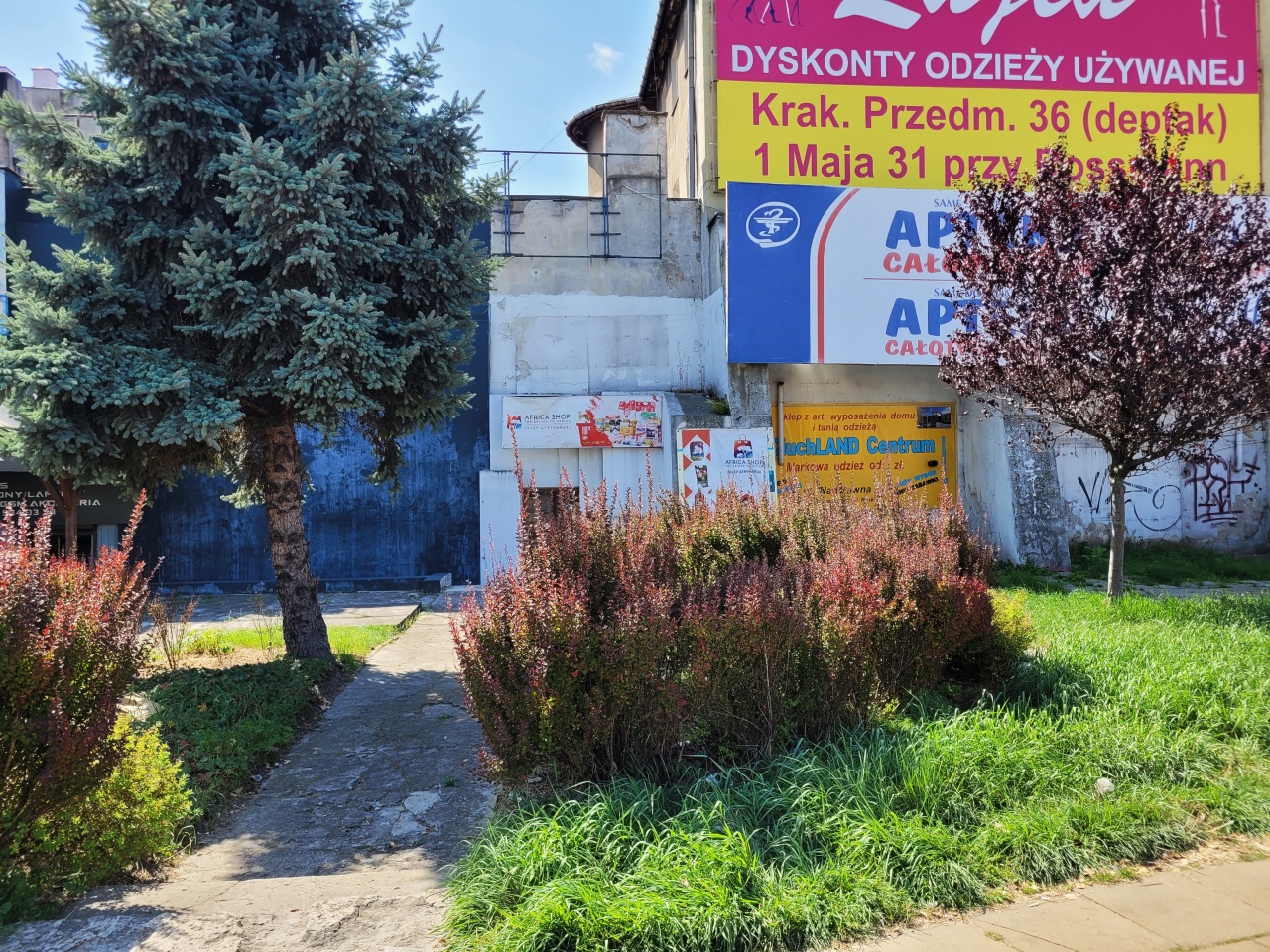 Teren trawnika z nasadzeniami krzewów i drzew. W tle widoczny budynek i banery reklamowe.