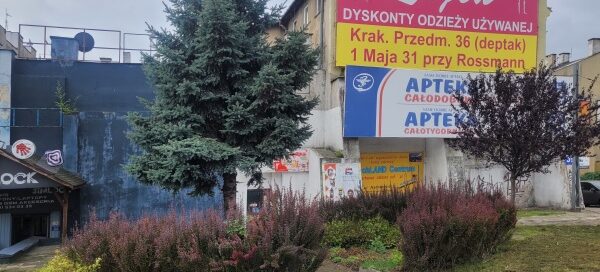 Teren trawnika z nasadzeniami krzewów i drzew. W tle widoczny budynek i banery reklamowe.