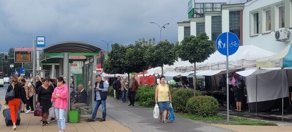 Żywopłot oraz drzewa oddzielające pas komunikacyjny od straganów.